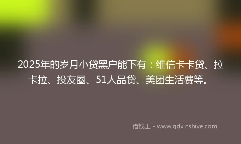 2025年的岁月小贷黑户能下有：维信卡卡贷、拉卡拉、投友圈、51人品贷、美团生活费等。