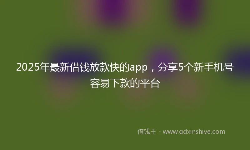 2025年最新借钱放款快的app，分享5个新手机号容易下款的平台
