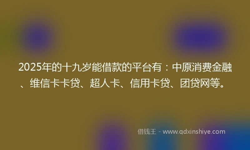 2025年的十九岁能借款的平台有：中原消费金融、维信卡卡贷、超人卡、信用卡贷、团贷网等。