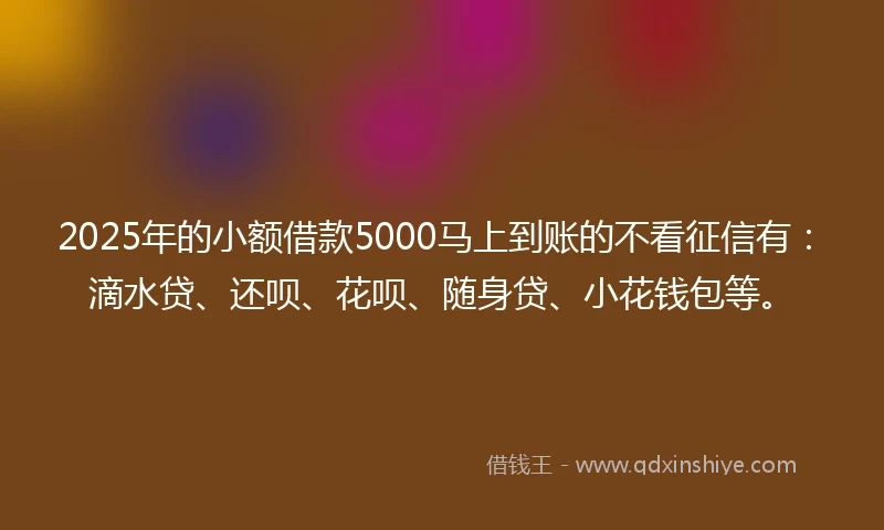 2025年的小额借款5000马上到账的不看征信有：滴水贷、还呗、花呗、随身贷、小花钱包等。