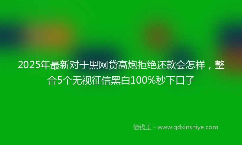2025年最新对于黑网贷高炮拒绝还款会怎样，整合5个无视征信黑白100%秒下口子