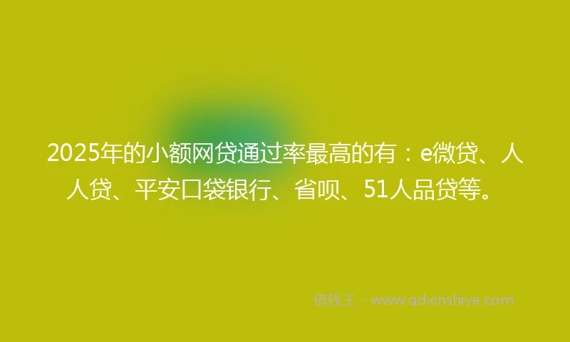 2025年的小额网贷通过率最高的有：e微贷、人人贷、平安口袋银行、省呗、51人品贷等。