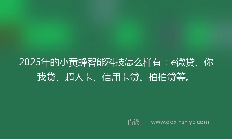 2025年的小黄蜂智能科技怎么样有：e微贷、你我贷、超人卡、信用卡贷、拍拍贷等。