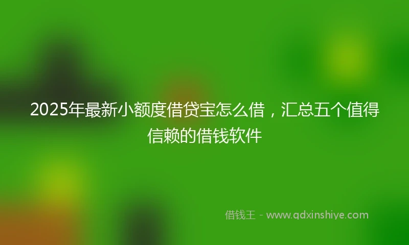 2025年最新小额度借贷宝怎么借，汇总五个值得信赖的借钱软件