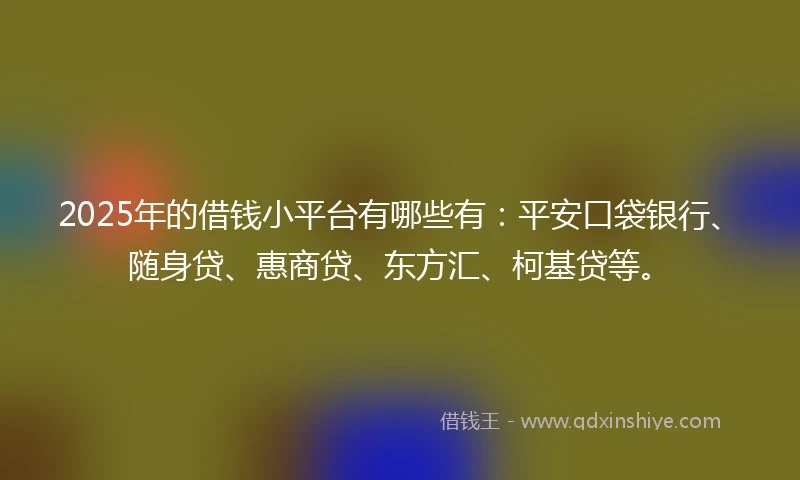 2025年的借钱小平台有哪些有：平安口袋银行、随身贷、惠商贷、东方汇、柯基贷等。