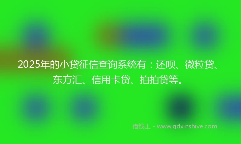 2025年的小贷征信查询系统有：还呗、微粒贷、东方汇、信用卡贷、拍拍贷等。