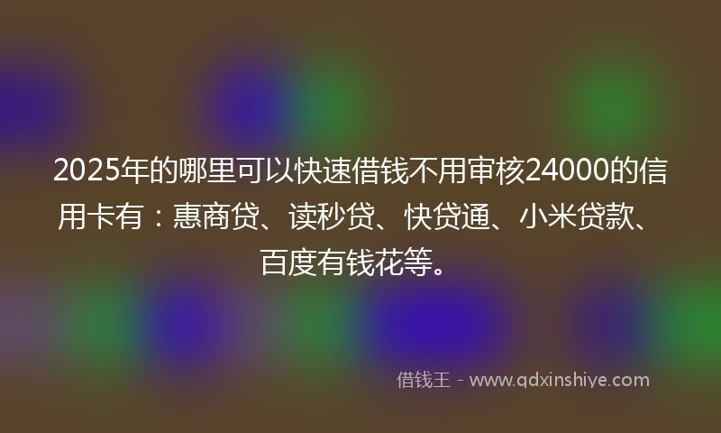 2025年的哪里可以快速借钱不用审核24000的信用卡有：惠商贷、读秒贷、快贷通、小米贷款、百度有钱花等。