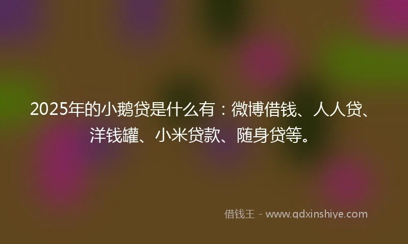 2025年的小鹅贷是什么有：微博借钱、人人贷、洋钱罐、小米贷款、随身贷等。