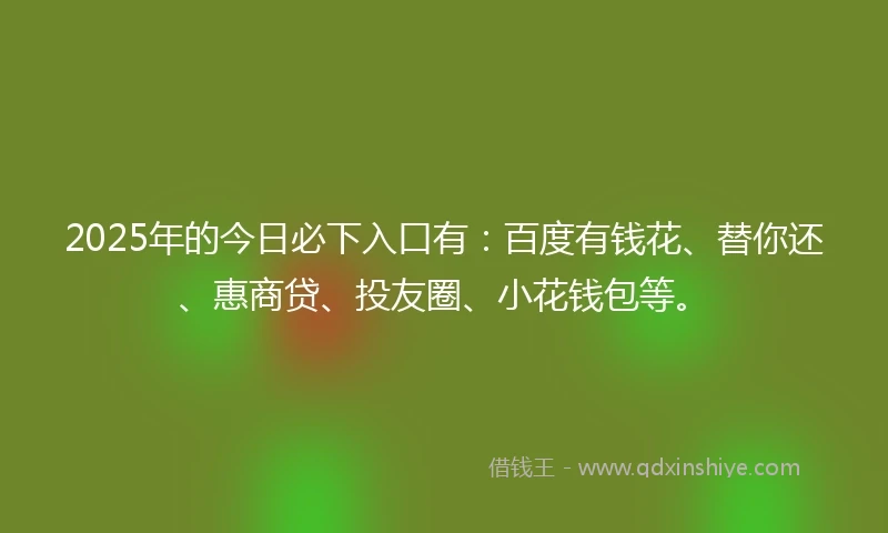 2025年的今日必下入口有：百度有钱花、替你还、惠商贷、投友圈、小花钱包等。
