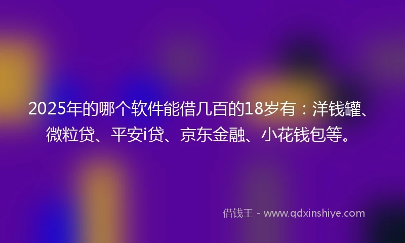 2025年的哪个软件能借几百的18岁有：洋钱罐、微粒贷、平安i贷、京东金融、小花钱包等。