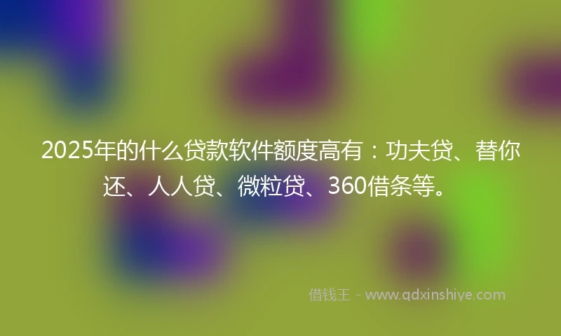 2025年的什么贷款软件额度高有：功夫贷、替你还、人人贷、微粒贷、360借条等。