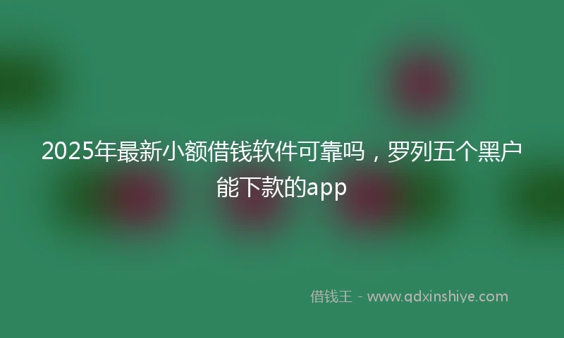 2025年最新小额借钱软件可靠吗，罗列五个黑户能下款的app