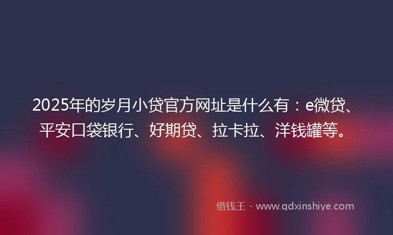 2025年的岁月小贷官方网址是什么有：e微贷、平安口袋银行、好期贷、拉卡拉、洋钱罐等。