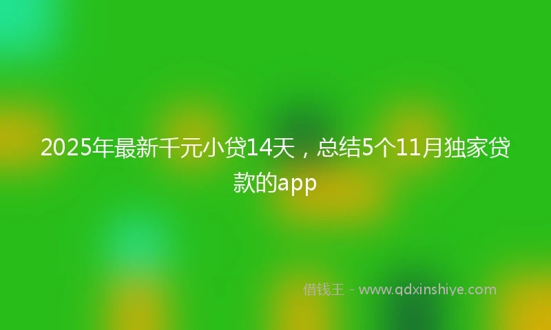 2025年最新千元小贷14天，总结5个11月独家贷款的app
