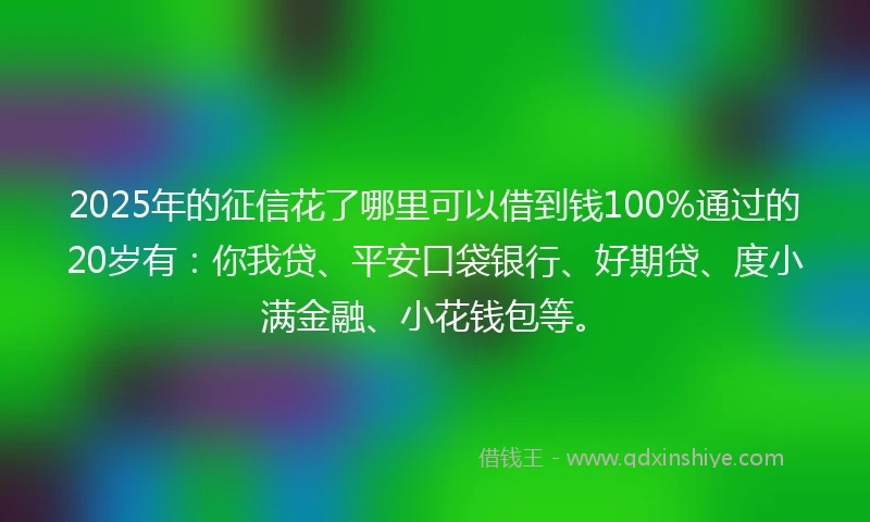 2025年的征信花了哪里可以借到钱100%通过的20岁有：你我贷、平安口袋银行、好期贷、度小满金融、小花钱包等。
