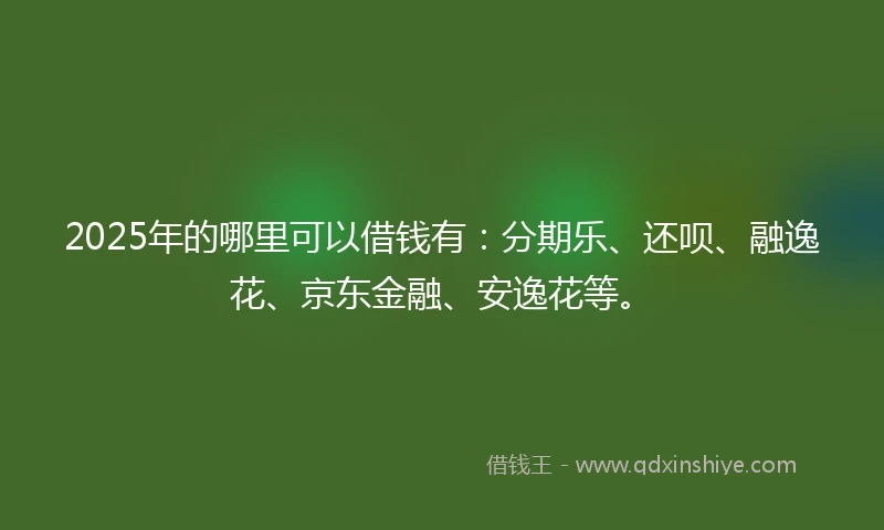 2025年的哪里可以借钱有：分期乐、还呗、融逸花、京东金融、安逸花等。