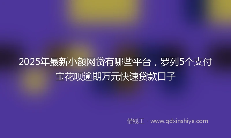2025年最新小额网贷有哪些平台，罗列5个支付宝花呗逾期万元快速贷款口子