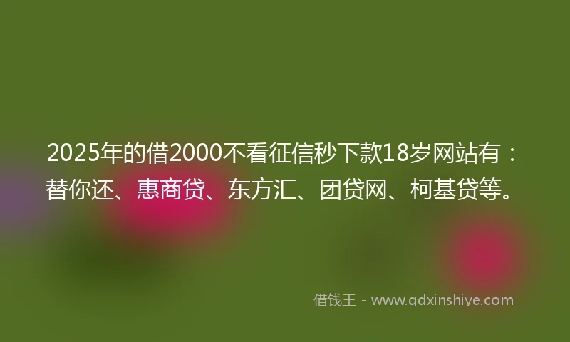2025年的借2000不看征信秒下款18岁网站有：替你还、惠商贷、东方汇、团贷网、柯基贷等。