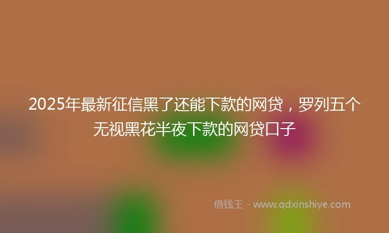 2025年最新征信黑了还能下款的网贷，罗列五个无视黑花半夜下款的网贷口子