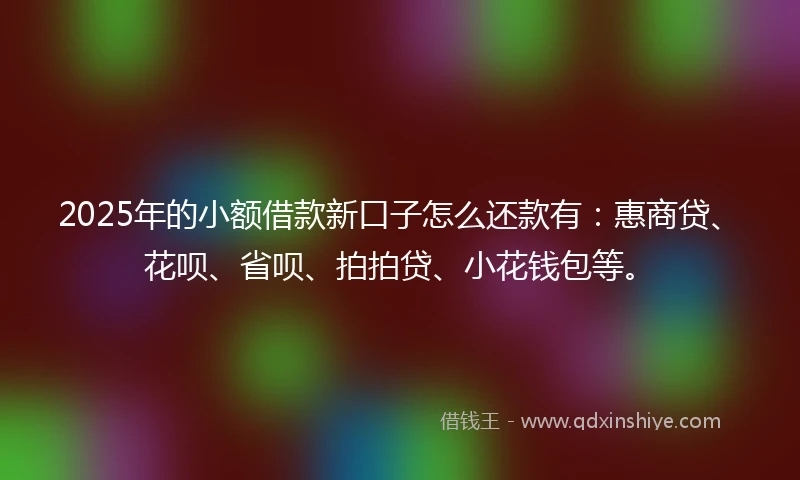 2025年的小额借款新口子怎么还款有：惠商贷、花呗、省呗、拍拍贷、小花钱包等。