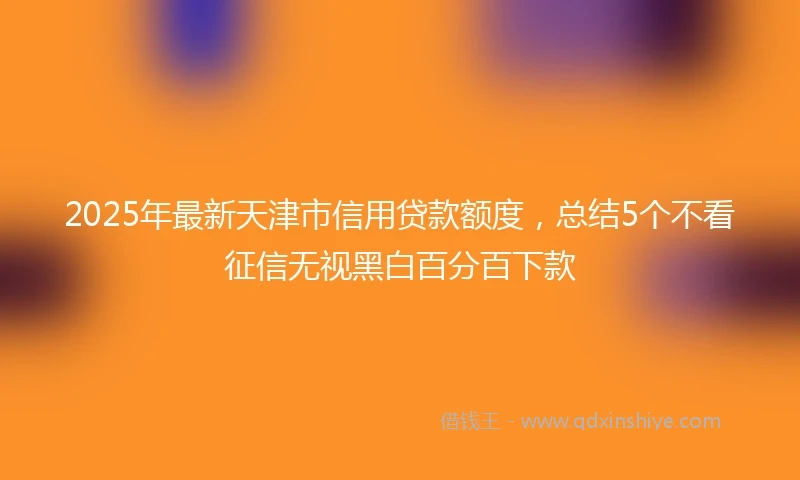 2025年最新天津市信用贷款额度，总结5个不看征信无视黑白百分百下款