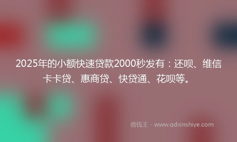 2025年的小额快速贷款2000秒发有：还呗、维信卡卡贷、惠商贷、快贷通、花呗等。