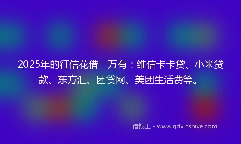 2025年的征信花借一万有：维信卡卡贷、小米贷款、东方汇、团贷网、美团生活费等。