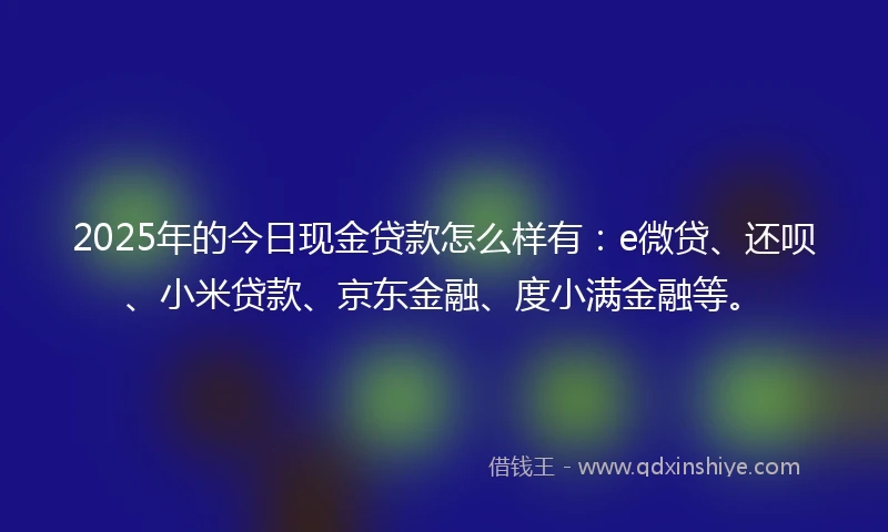2025年的今日现金贷款怎么样有：e微贷、还呗、小米贷款、京东金融、度小满金融等。