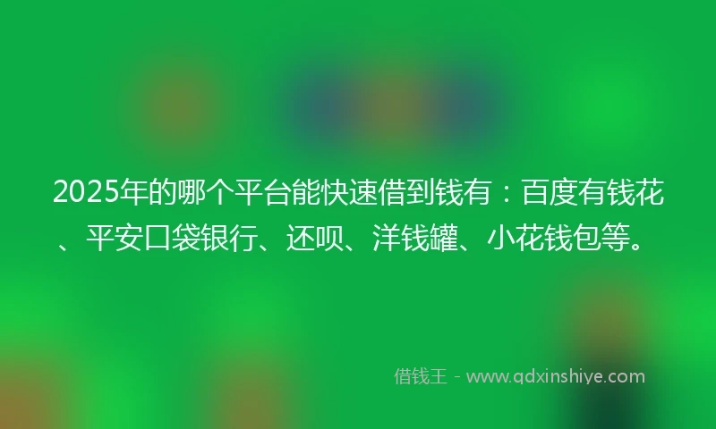 2025年的哪个平台能快速借到钱有：百度有钱花、平安口袋银行、还呗、洋钱罐、小花钱包等。