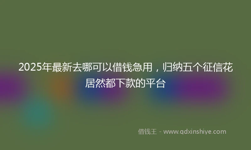 2025年最新去哪可以借钱急用，归纳五个征信花居然都下款的平台