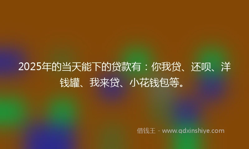 2025年的当天能下的贷款有：你我贷、还呗、洋钱罐、我来贷、小花钱包等。
