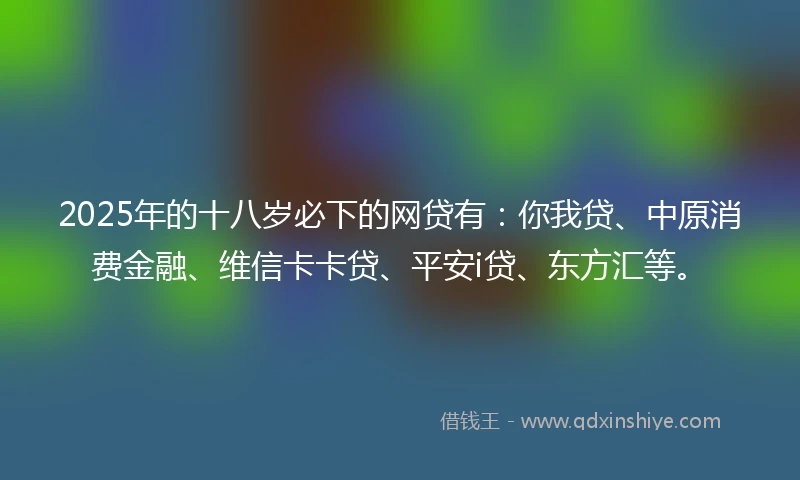 2025年的十八岁必下的网贷有：你我贷、中原消费金融、维信卡卡贷、平安i贷、东方汇等。