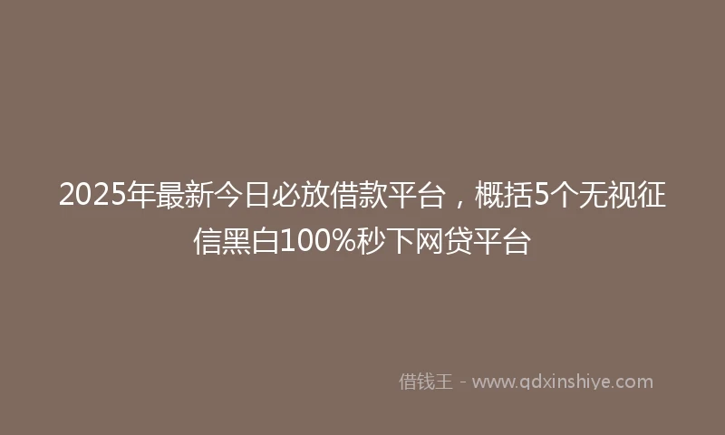 2025年最新今日必放借款平台，概括5个无视征信黑白100%秒下网贷平台