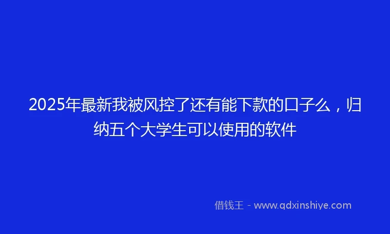 2025年最新我被风控了还有能下款的口子么，归纳五个大学生可以使用的软件