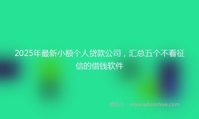 2025年最新小额个人贷款公司，汇总五个不看征信的借钱软件