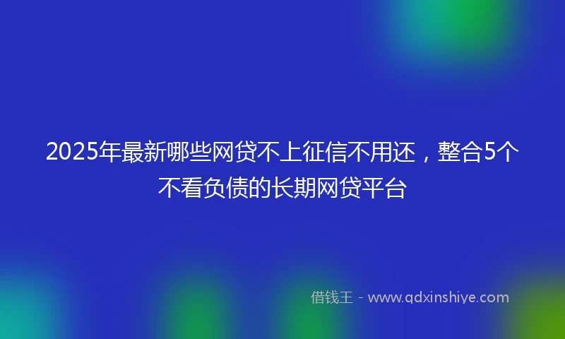 2025年最新哪些网贷不上征信不用还，整合5个不看负债的长期网贷平台