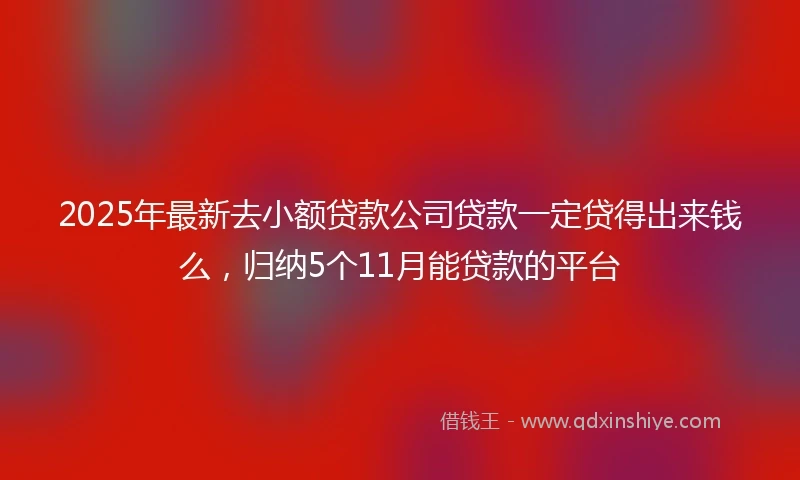 2025年最新去小额贷款公司贷款一定贷得出来钱么，归纳5个11月能贷款的平台