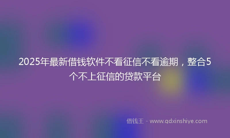 2025年最新借钱软件不看征信不看逾期，整合5个不上征信的贷款平台