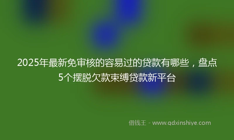 2025年最新免审核的容易过的贷款有哪些，盘点5个摆脱欠款束缚贷款新平台