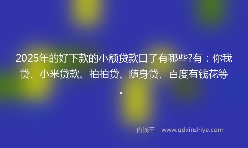 2025年的好下款的小额贷款口子有哪些?有：你我贷、小米贷款、拍拍贷、随身贷、百度有钱花等。