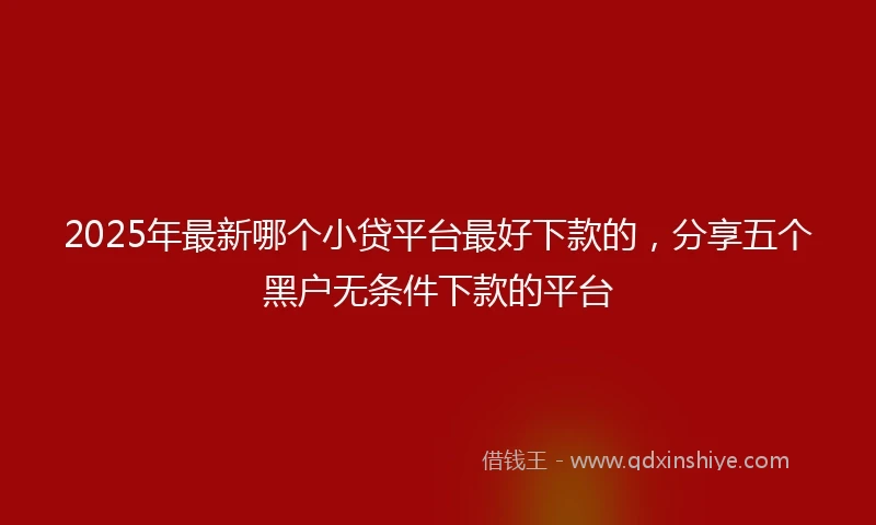2025年最新哪个小贷平台最好下款的，分享五个黑户无条件下款的平台