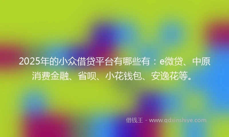 2025年的小众借贷平台有哪些有：e微贷、中原消费金融、省呗、小花钱包、安逸花等。