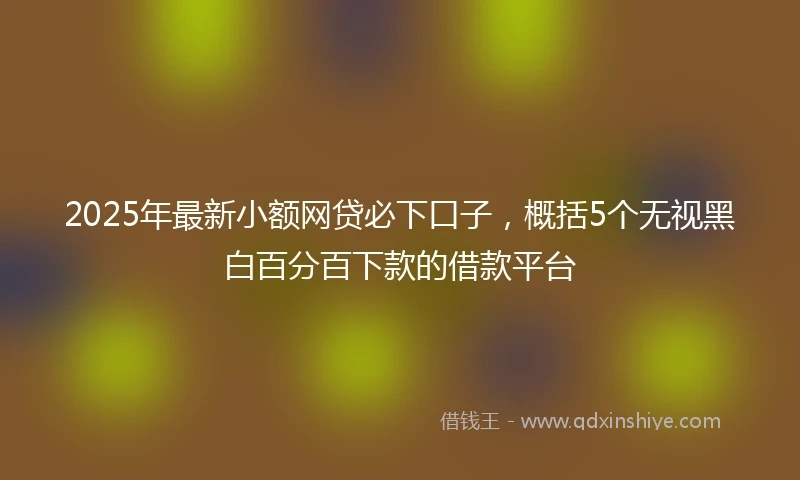 2025年最新小额网贷必下口子，概括5个无视黑白百分百下款的借款平台
