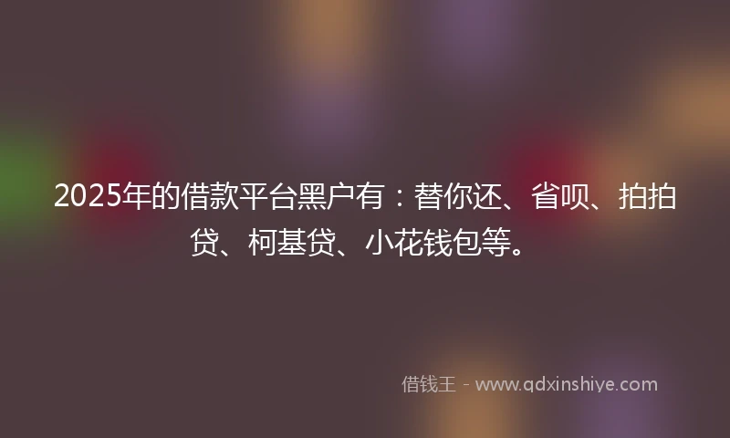 2025年的借款平台黑户有：替你还、省呗、拍拍贷、柯基贷、小花钱包等。
