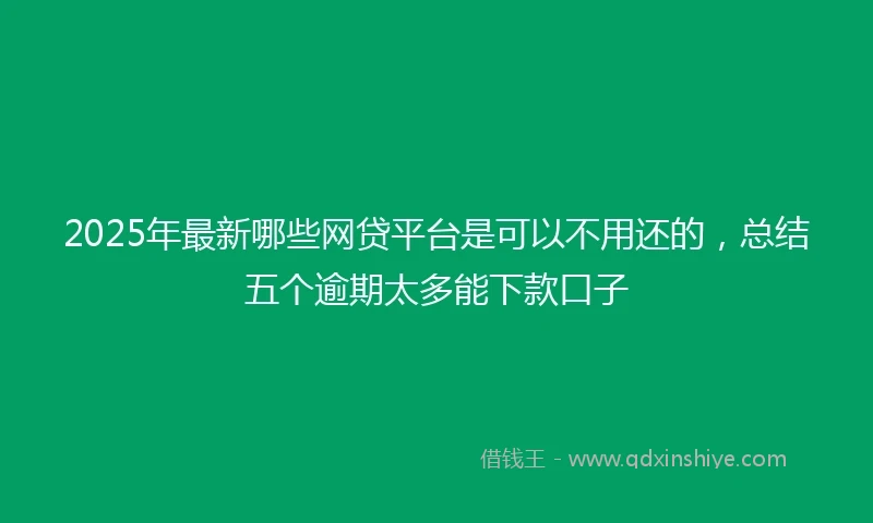 2025年最新哪些网贷平台是可以不用还的，总结五个逾期太多能下款口子