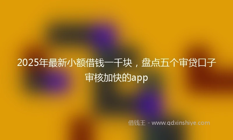 2025年最新小额借钱一千块，盘点五个审贷口子审核加快的app
