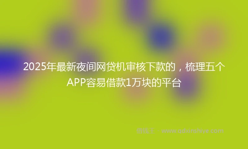 2025年最新夜间网贷机审核下款的，梳理五个APP容易借款1万块的平台