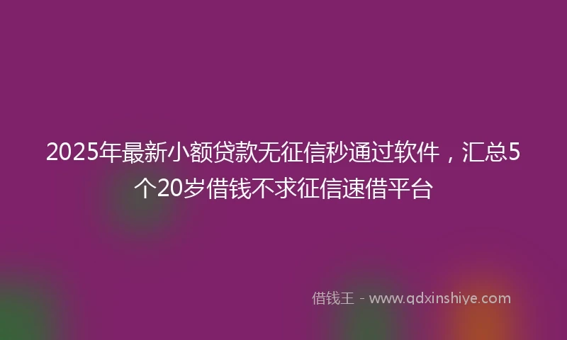 2025年最新小额贷款无征信秒通过软件，汇总5个20岁借钱不求征信速借平台