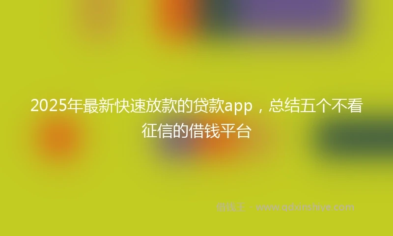 2025年最新快速放款的贷款app，总结五个不看征信的借钱平台