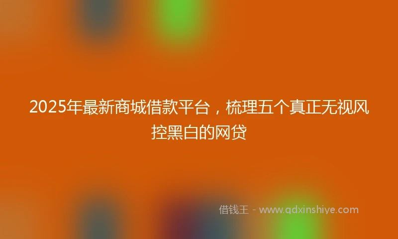2025年最新商城借款平台，梳理五个真正无视风控黑白的网贷